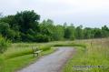 _IGP5902 trail with bench